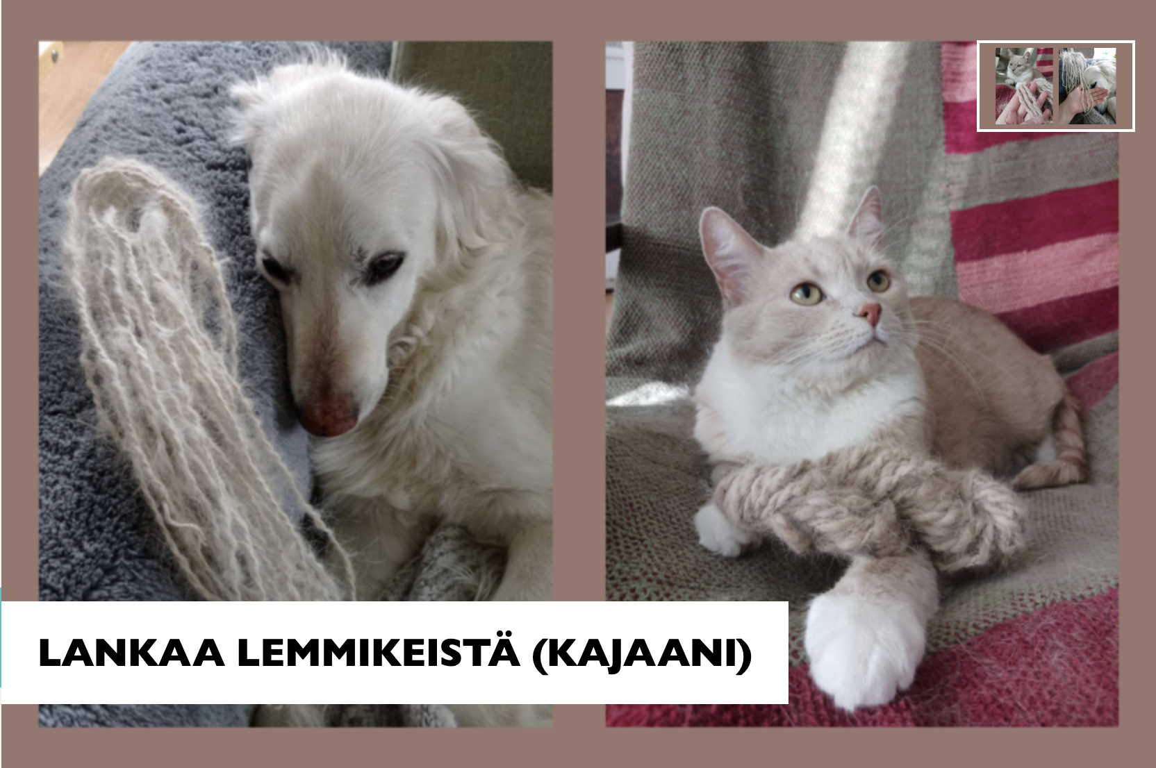 Lankaa lemmikeistä https://www.taito.fi/kasityokurssit-ja-koulutus/kasityokurssit/lankaa-lemmikeista-kajaani/